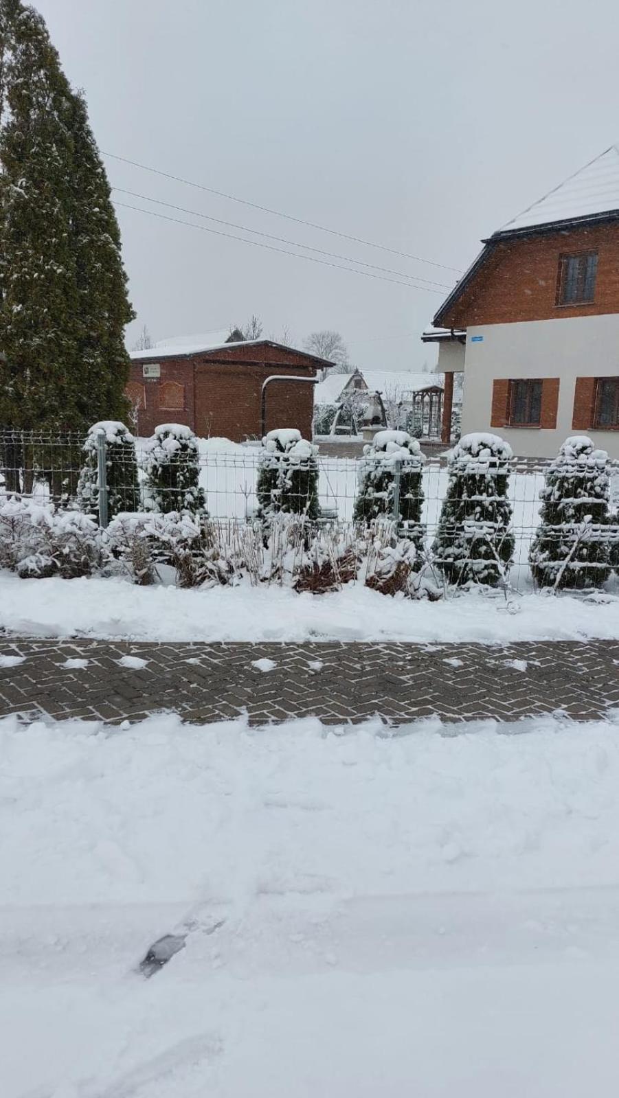Apartamenty Pod Magnolia Bialowieza Exterior photo